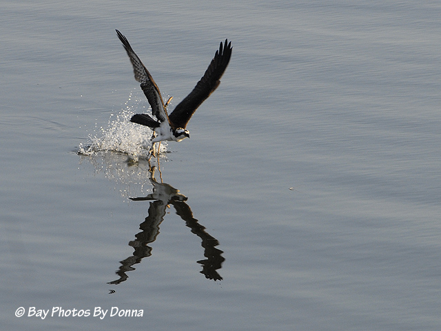 _DSC0099-1 3-20-11 2