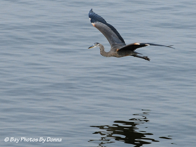 DSC_0027-1 8-21-10 H