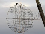 balldrop3