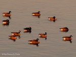 _DSC0002 (2)-1 12-11-11
