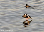 _DSC0008-1 12-31-11