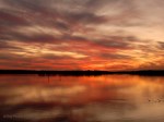 _DSC0010-1 12-12-11