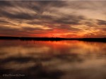 _DSC0017-1 12-12-11