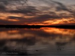 _DSC0020-1 12-12-11