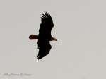 _DSC0022-2-1 12-10-11