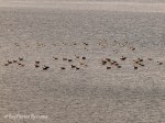 _DSC0073-1 12-24-11