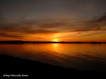 _DSC0075-1 12-30-11