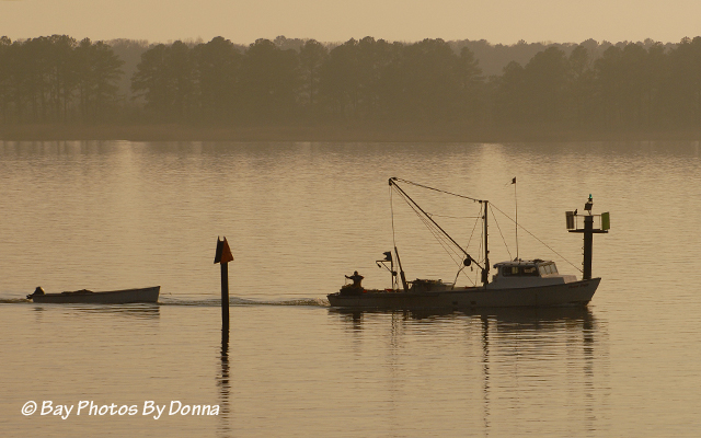 _DSC0123-1 3-21-12 2