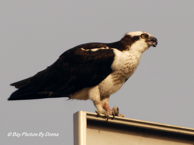 "Where do you think you're going?" she says.
