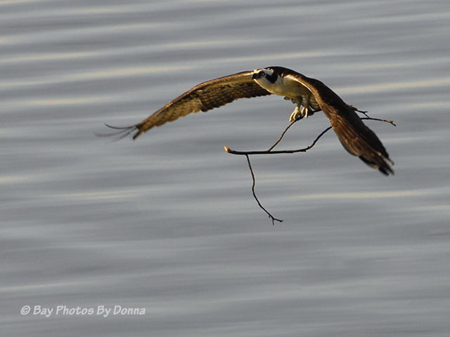 Heading back to the platform.
