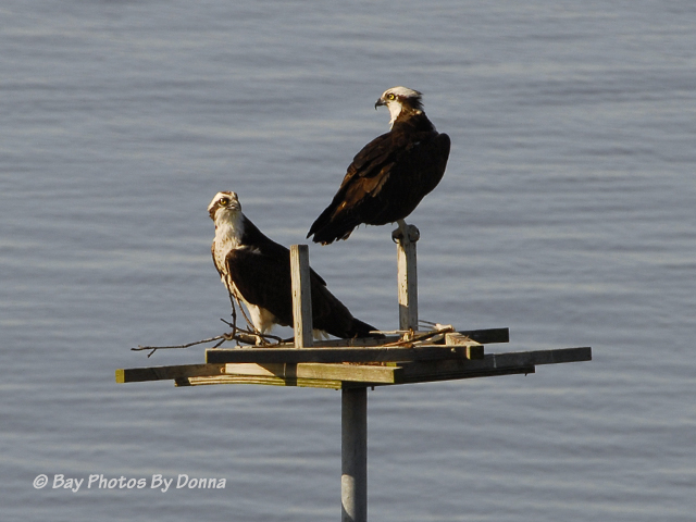 Time for a break after that workout!