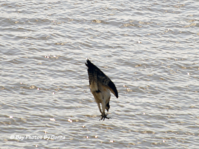 Feet-first for the attack