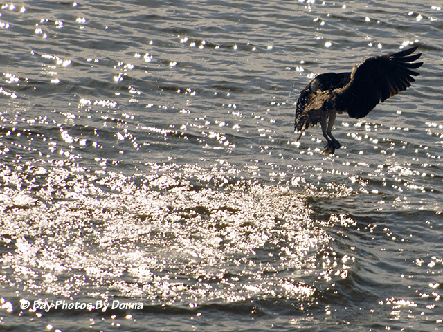And he's off to enjoy his meal as well.