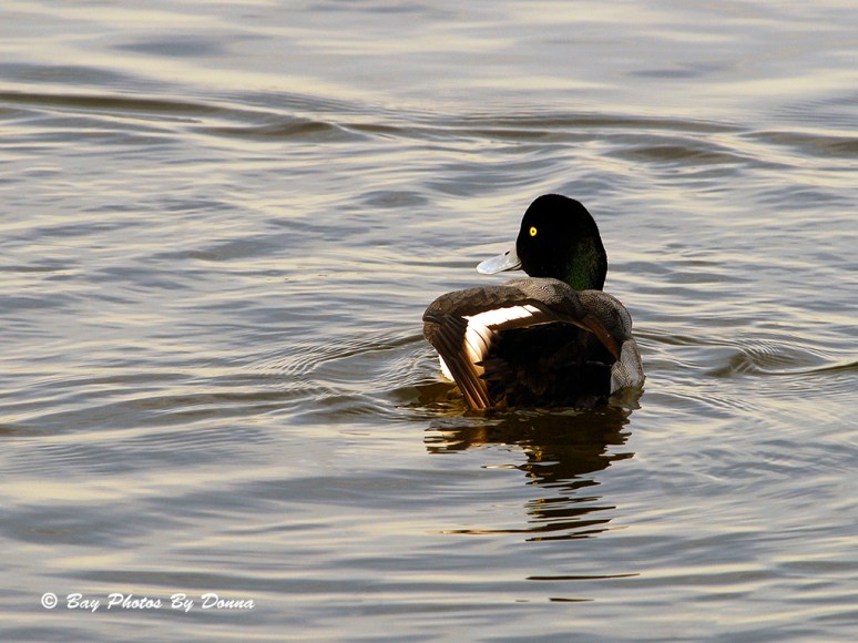 That's right, I'm bad!