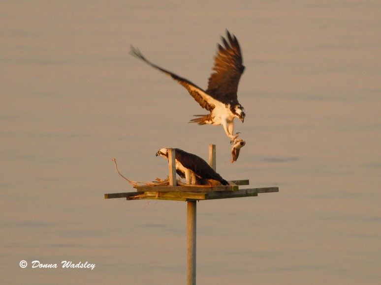 He didn't share this one, shame on him!