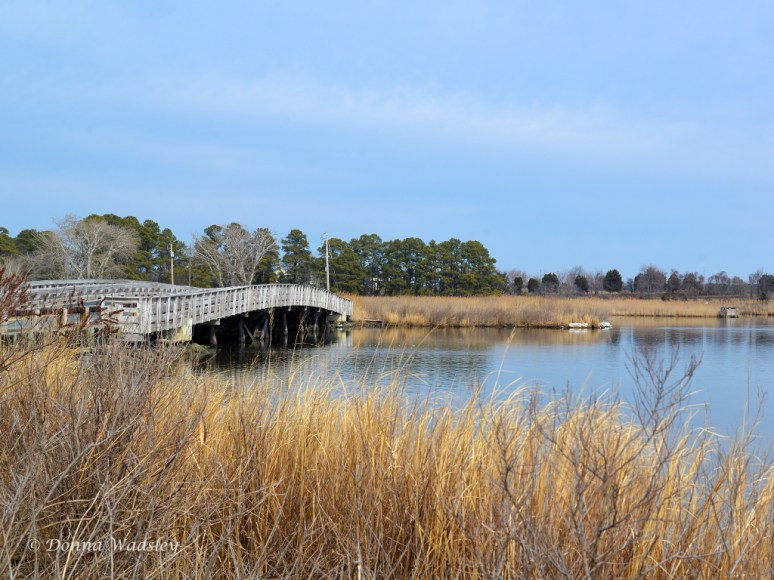 Bridge you cross to get onto X Island which is 