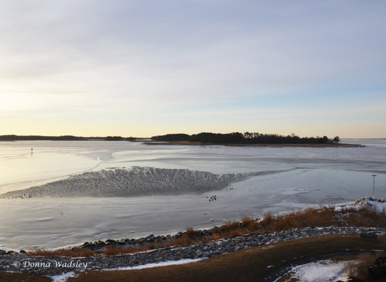 Monday Morning 2/16/15