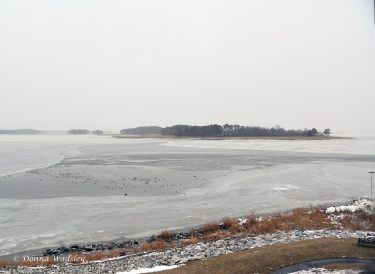 Monday Afternoon 2/16/15