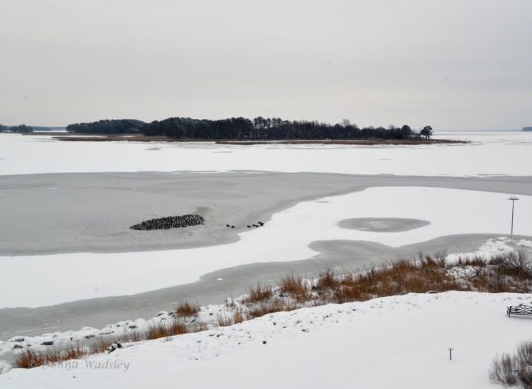 Tuesday Morning 2/17/15