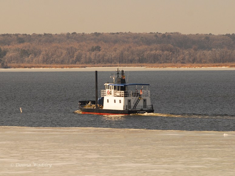Maryland DNR cutter, A. V. Sandusky