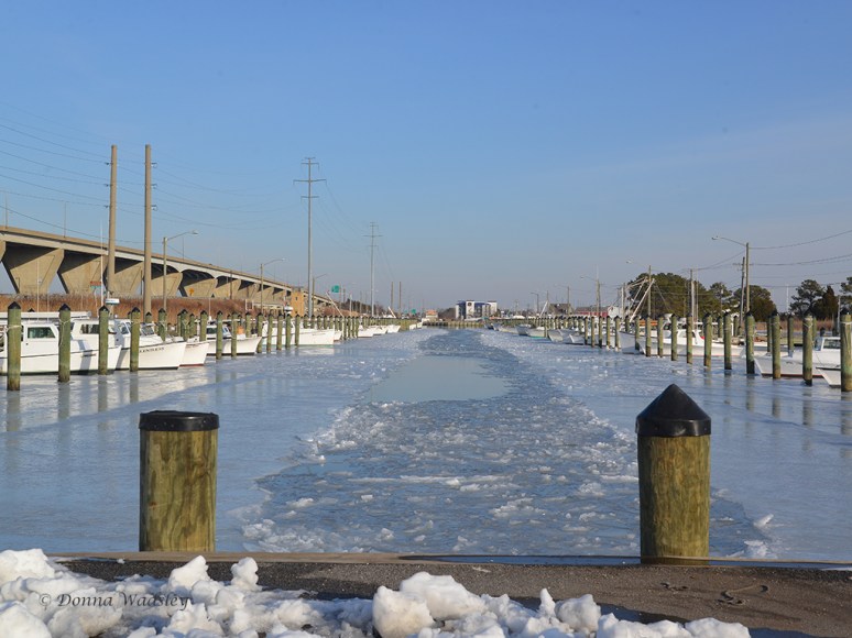 Kent Narrows Watermen's Marina