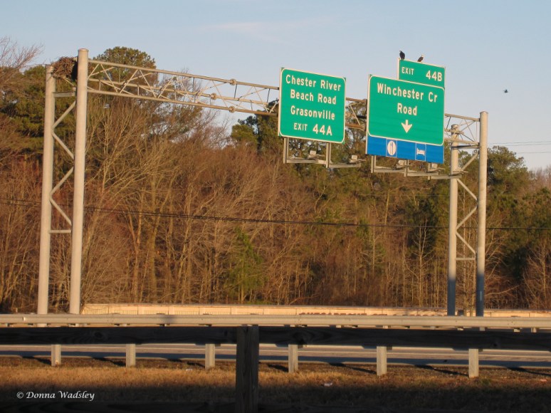 Mr & Mrs Osprey are home!