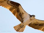 _DSC0212-3 4415