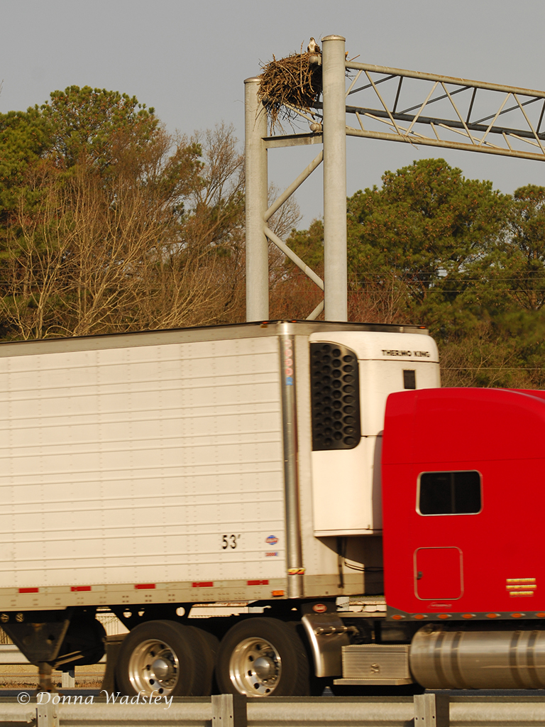 _DSC0152-1 31616.jpg