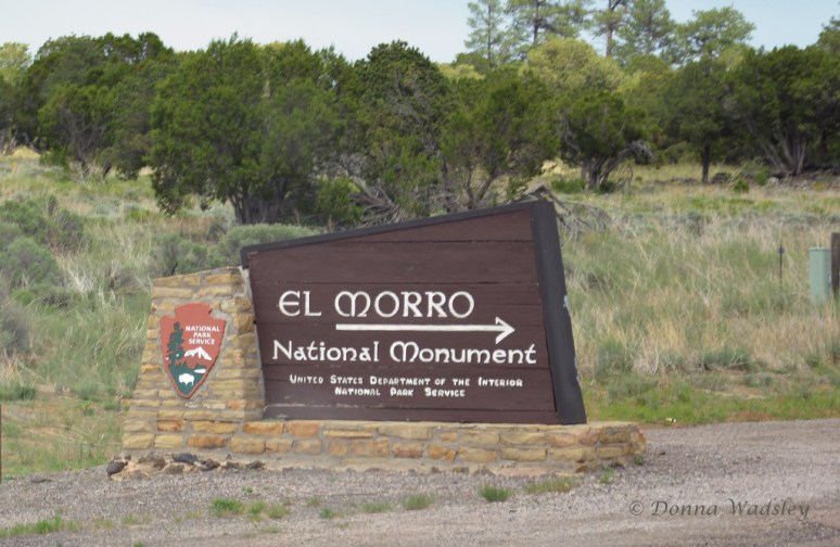 DSC_7839-1 61116.jpg