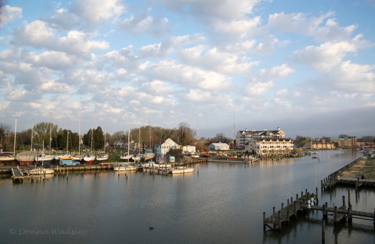 DSC_8781-1 41518.jpg