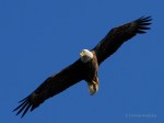 _DSC0112-1 6618