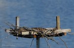 _DSC0123-1 6618
