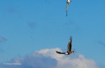 _DSC0140-1 6618