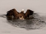_DSC0303-1 52918