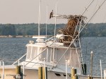 _DSC0093-1 7118