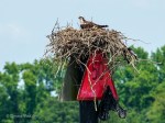 _DSC0163-1 62518