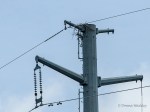 _DSC0222-1 62518