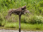 _DSC0402-1 62518