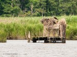 _DSC0415-1 62518