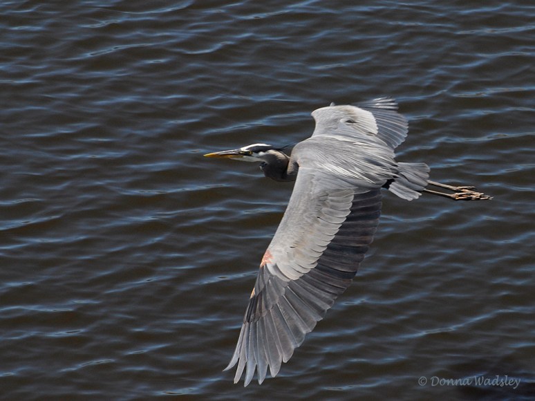 GBH Fly-by 03