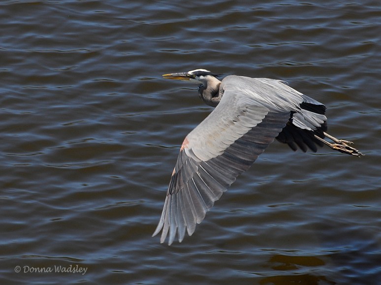 GBH Fly-by 03