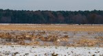 _DSC0259-1 121018