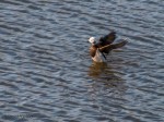 _DSC0057-1 22619
