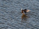 _DSC0058-1 22619
