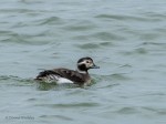 _DSC0348-1 2719