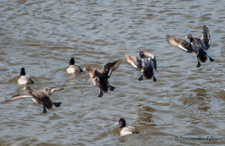 _DSC0029-1 22619.jpg