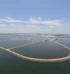 Poplar island 01 Sept&nbsp;2019