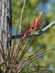 DSC_8473-1 12920