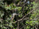DSC_5407-1 31620