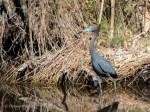DSC_7670-1 32620